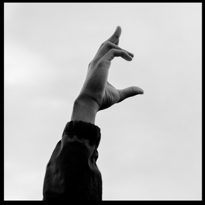 面板赚钱小鲤导航
