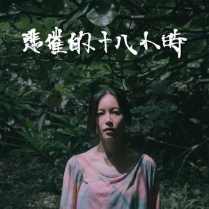 面板赚钱小鲤导航
